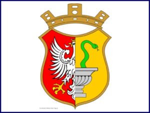 Strategia Informatyzacji Miasta Otwocka na lata 2006-2013
