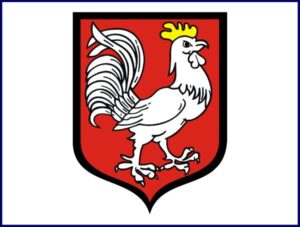 Przebudowa nawierzchni Placu Piastów w Oławie w systemie partnerstwa publiczno-prywatnego